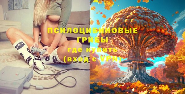 первитин Армянск