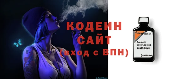 ГАЛЛЮЦИНОГЕННЫЕ ГРИБЫ Аркадак