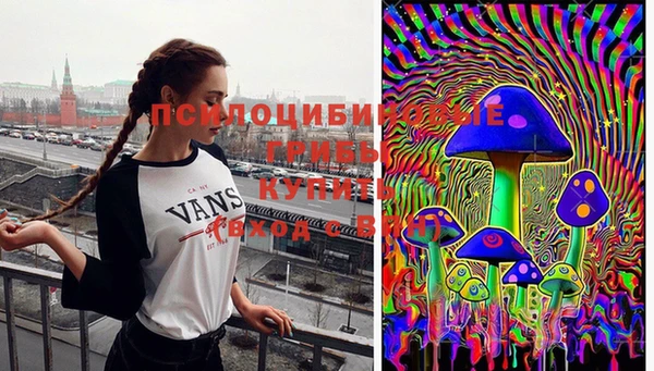 первитин Армянск