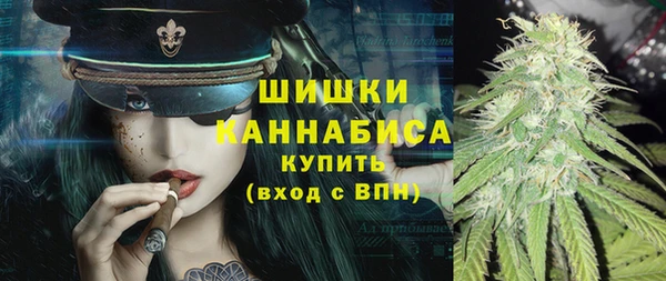 ГАЛЛЮЦИНОГЕННЫЕ ГРИБЫ Аркадак