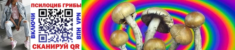 Псилоцибиновые грибы GOLDEN TEACHER Купить Александров