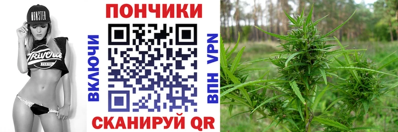 Купить где  Александров  МАРИХУАНА план 